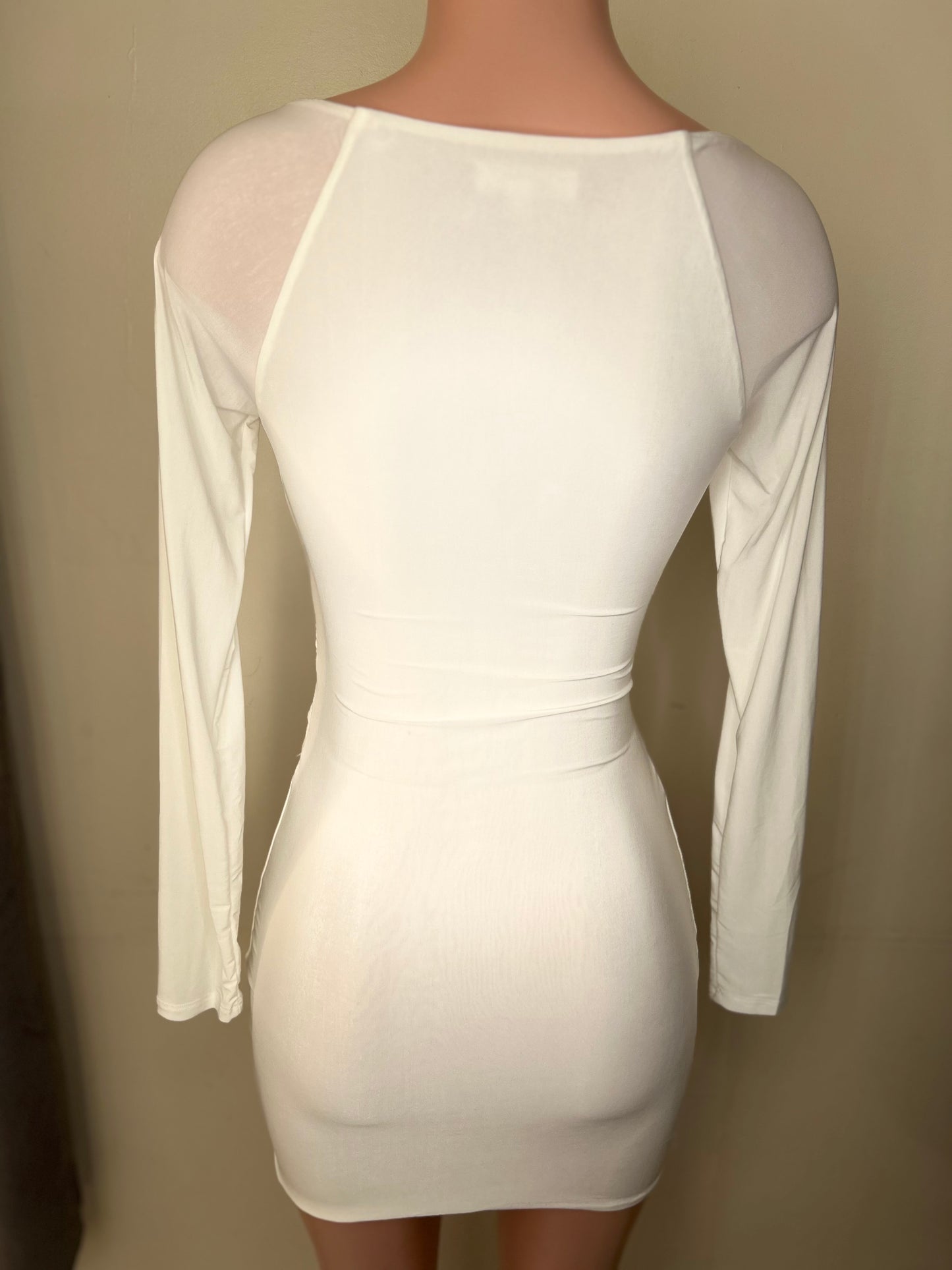 Rose Mini Dress